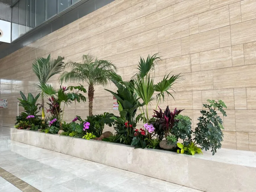 宁波奉化盆景租赁公司